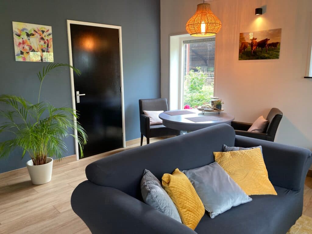 Cosy living room with dark blue sofa and yellow cushions